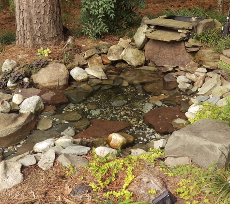 Allclear Pond Management - Raleigh, NC