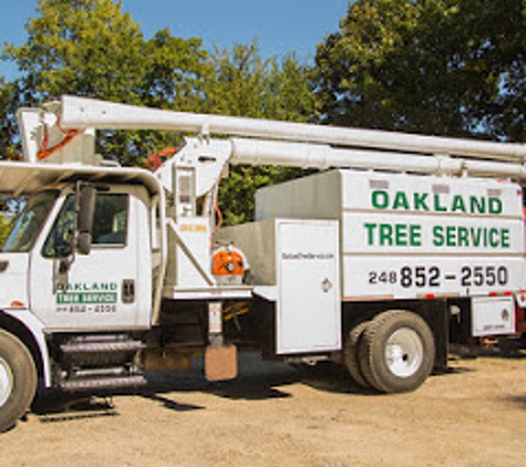 Oakland Tree Service - Rochester Hills, MI