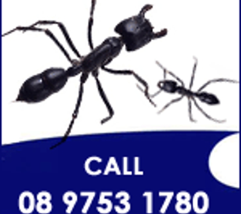 Bayview Pest Control - West Busselton, WA