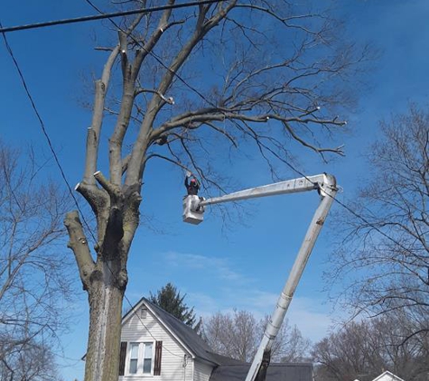 Epic Tree Service - Galva, IL