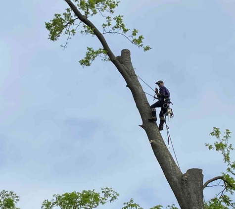 Christmas City Landscaping & Tree Service