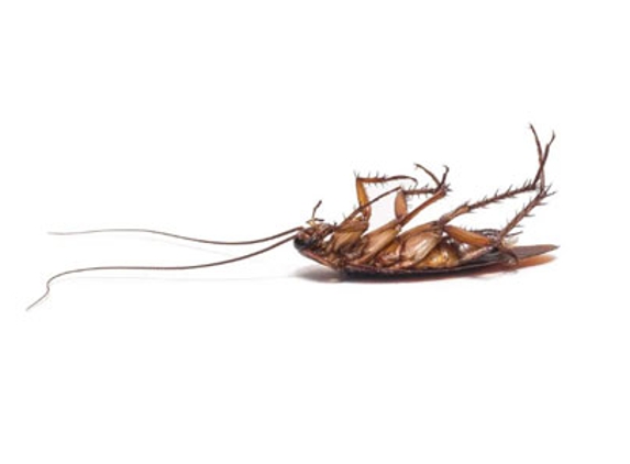 Ballarat Pest Control - Mount Pleasant, VIC