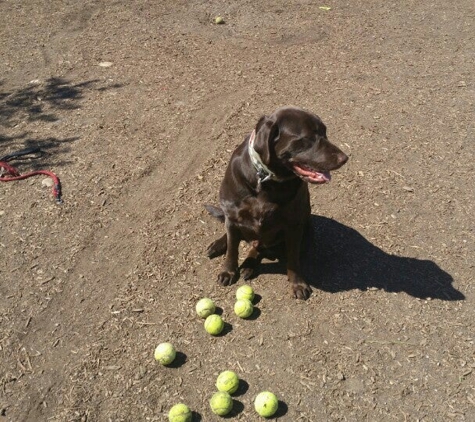 Fort Barnard Dog Park - Arlington, VA