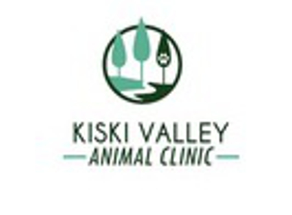 Kiski Valley Animal Clinic Inc - Leechburg, PA