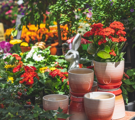 Mahoney's Garden Center - Concord - Concord, MA