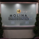 Sonia Molina, DMD, MPH - Endodontists