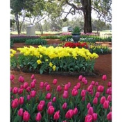 Gallery Image Number 1
