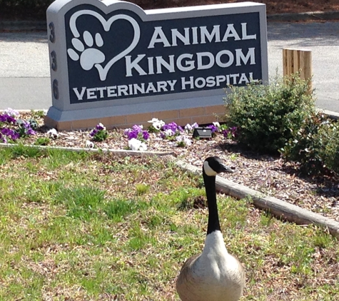 Animal Kingdom Veterinary Hospital - Cary, NC