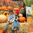 Piedmont Avenue Pumpkin Patch - Amusement Places & Arcades