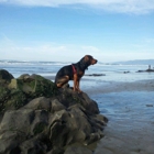 Fort Funston National Park