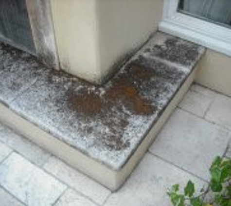 Action Pressure Washing - Walnut Creek, CA