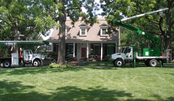 Kansas City Tree Care, LLC - Kansas City, KS