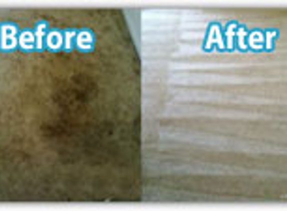 Carpet Cleaner Kingwood - Kingwood, TX