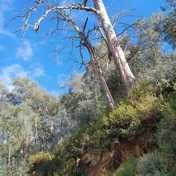 Gallery Image Number 4