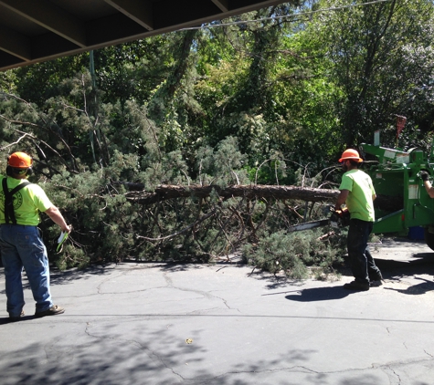 Redding Tree Service Inc. - Redding, CA