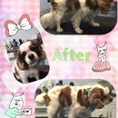 Puppy Patch Boutique & Grooming Spa