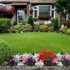 Daniels Lawn and Landscape Services