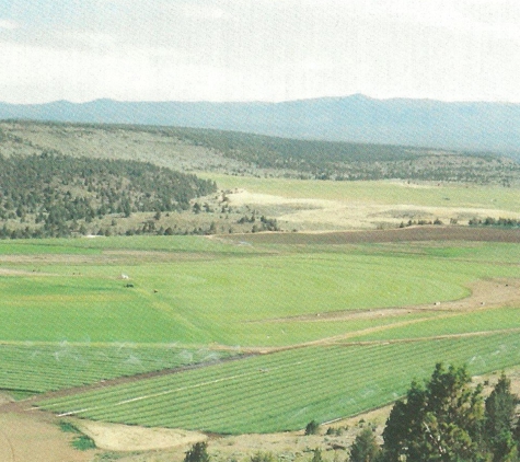 Lower Valley Turf - Terrebonne, OR