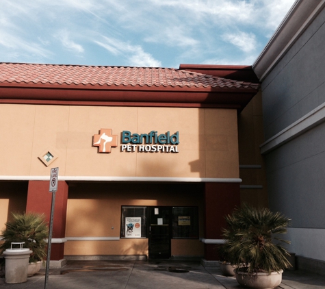 Banfield Pet Hospital - Las Vegas, NV