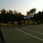 Dwight Davis Memorial Tennis