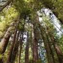 Olympic National Park - Places Of Interest