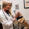 AM/PM Animal Hospital gallery