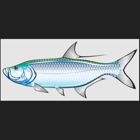 KW Tarpon