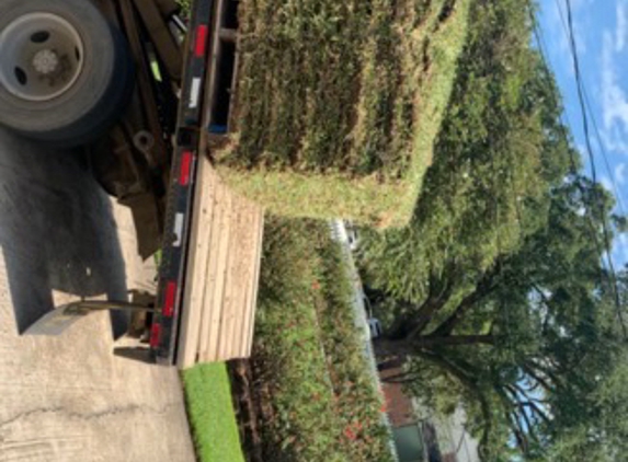 Landscape Depot - Baton Rouge, LA. This is how Steve delivers the sod nowadays smh.