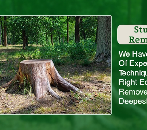 Hobart Tree Chipping & Recycling. Stump Removal