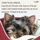 Lovington Veterinary Clinic - Veterinary Clinics & Hospitals
