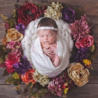 Imago Dei Newborn Photography