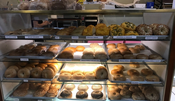 City Bagels and Doughnuts - San Jose, CA