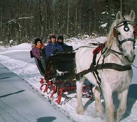 Horse & Carriage Livery of Loon Meadow Farm - Greenfield Center, NY