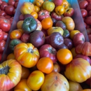 Berberian's Farm - Fruit & Vegetable Markets