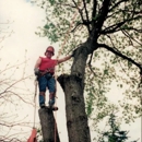 J  & B Professional Tree Service Inc - Stump Removal & Grinding