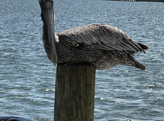 Hudson Marina - Orange Beach, AL