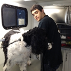 BoneAmi mobile dog grooming spa