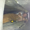 Allied Services Co-Hoyle Holt. gallery
