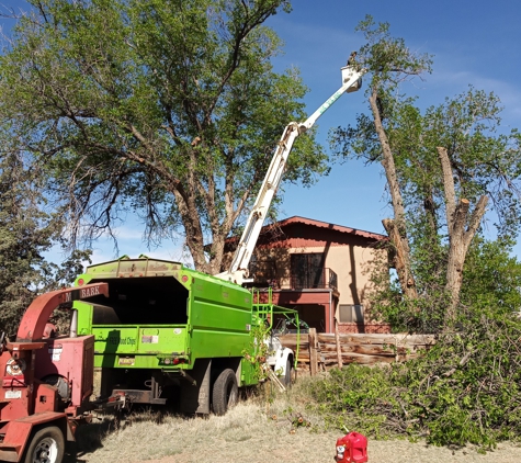 VJ Stars Tree Services - Albuquerque, NM