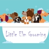 Little Elm Grooming gallery