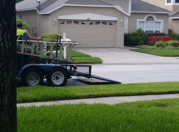 Enchanting lawn and landscape - Holiday, FL