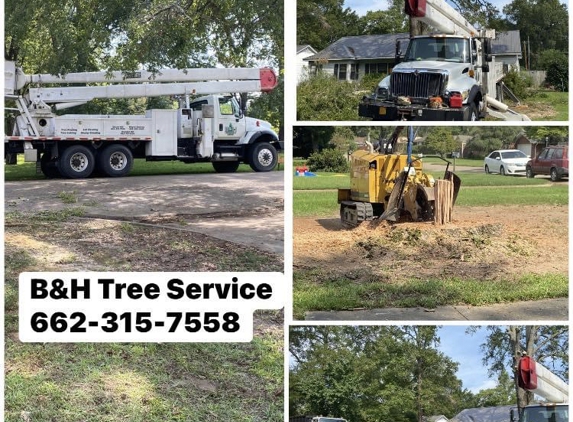 B & H Tree Service - Amory, MS