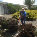 5 Star Yard Maintenance - Landscaping & Lawn Services