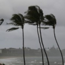 Reliant Public Insurance Adjusters Inc - Insurance Adjusters