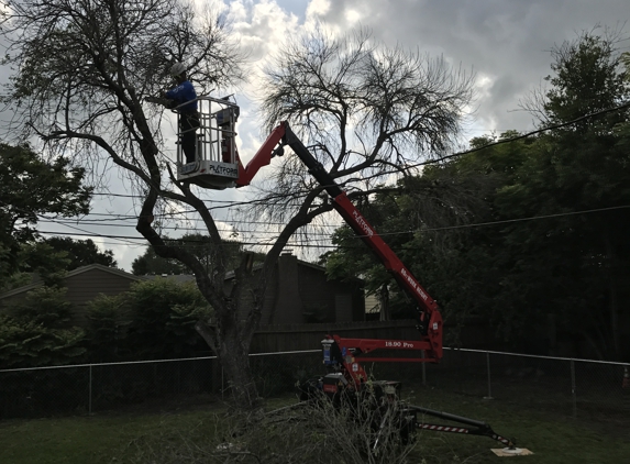 Southern Tree Care - Corpus Christi, TX