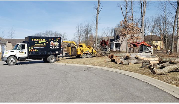 Timber Masters Tree Service - Schererville, IN