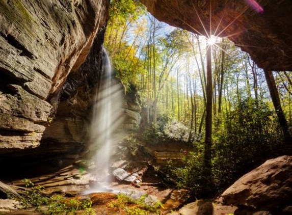 Skyterra Wellness Retreat - Pisgah Forest, NC