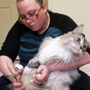 Tabbie's Mobile Cat Grooming - Pet Grooming
