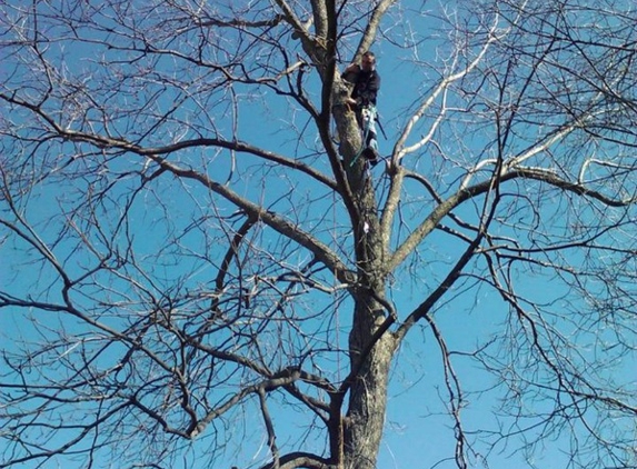 Father and Son Tree Care