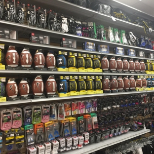 Hibbett Sports - Statesboro, GA